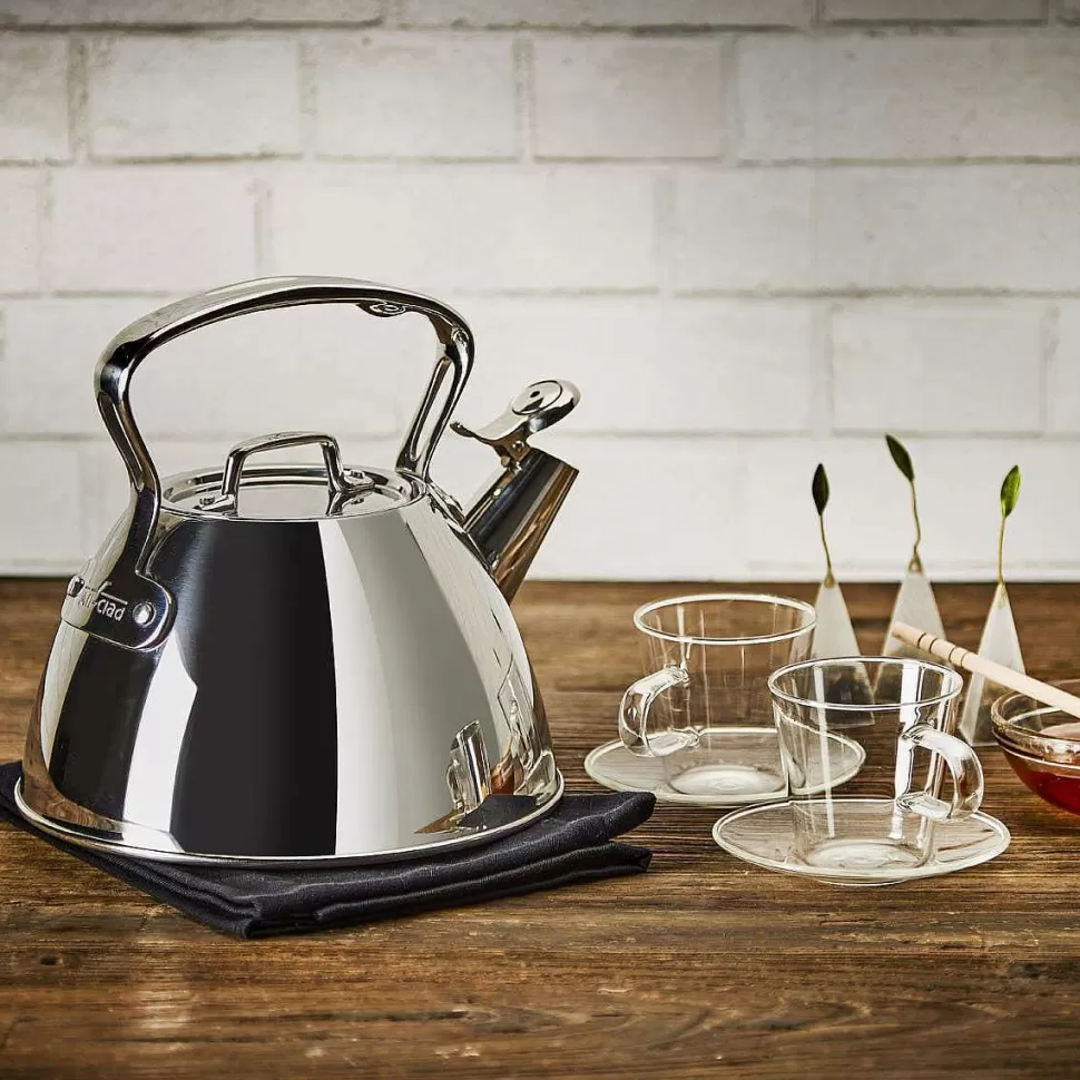 All-Clad Specialty Cookware<Gourmet Accessories, Stainless Steel Stovetop Tea Kettle, 2 Quart